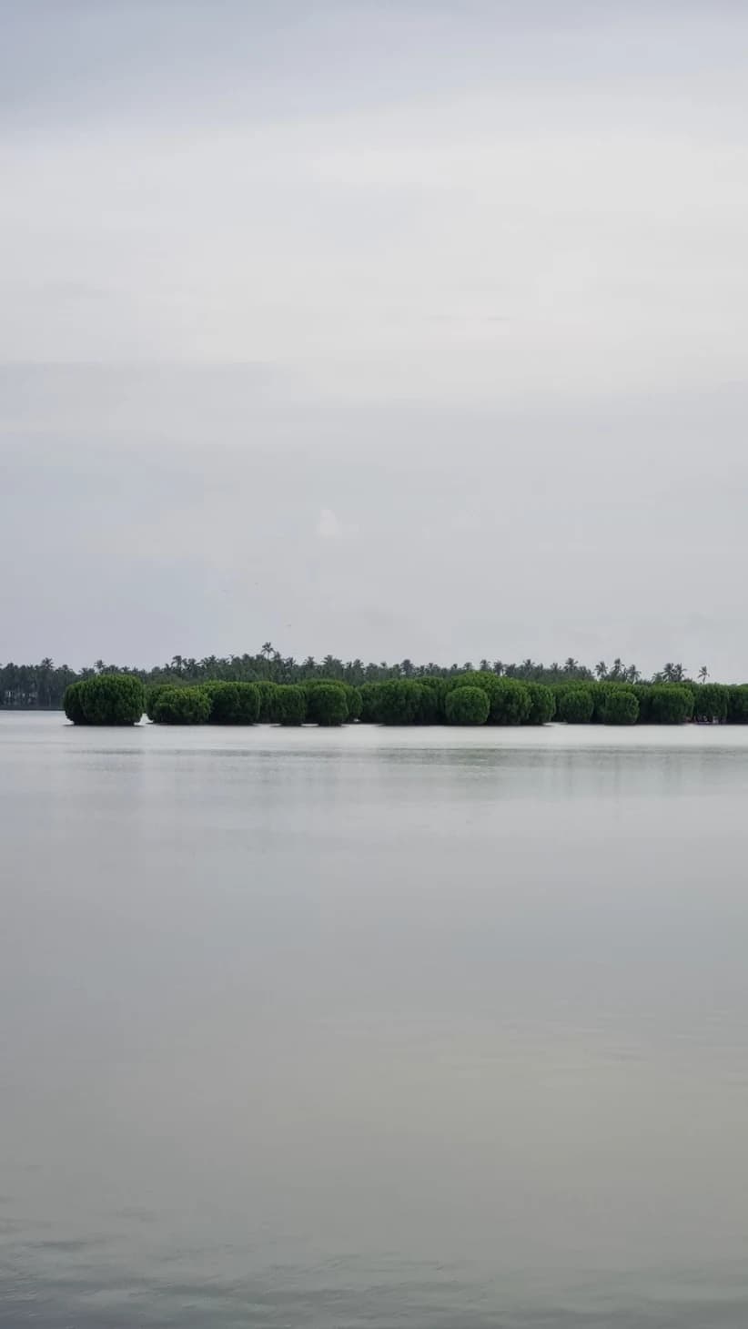Madakkal Bund & Kayak Experience